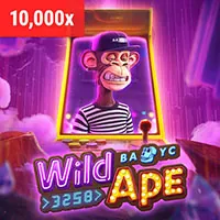 Chương trình VIP 33wwin casino với các phần thưởng độc quyền