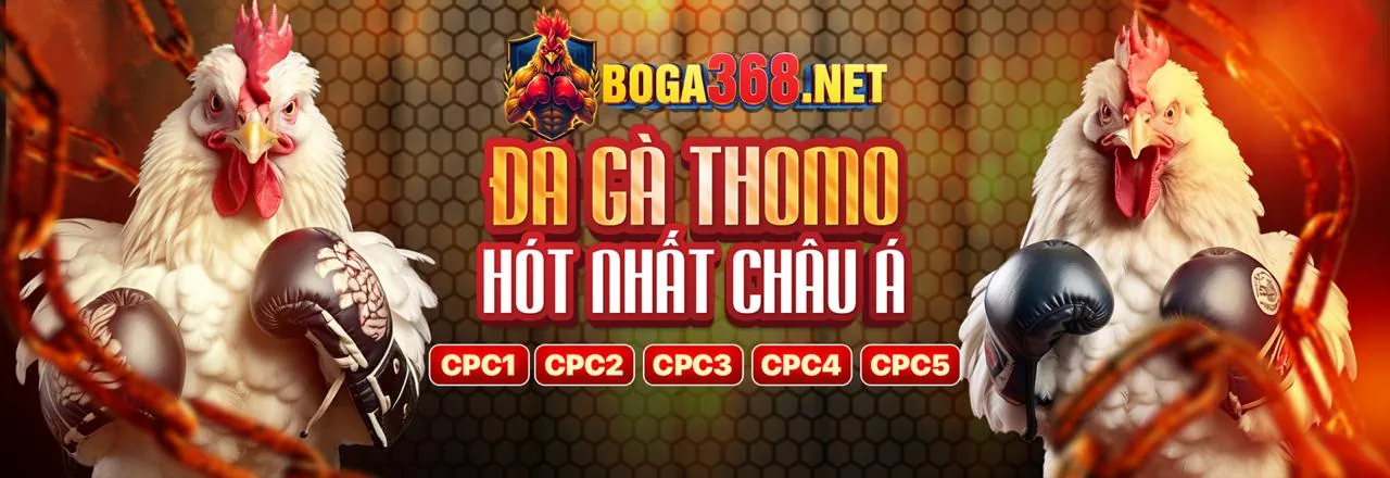 Hình ảnh chính về các chương trình khuyến mãi độc quyền tại 33wwin casino